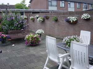 andere kant tuin 2010 juli