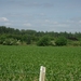Afbeelding 140