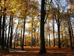 herfstbeelden