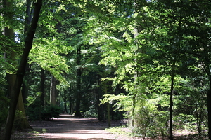 Te Boelaerpark