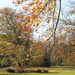 herfst in Te Boelaerpark