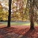 herfst in Te Boelaerpark