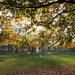 herfst in Te Boelaerpark