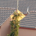 Afbeelding 171