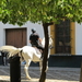 Afbeelding 203