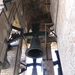 Afbeelding 222