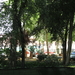 Afbeelding 243