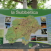 Afbeelding 307