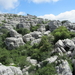Afbeelding 394