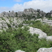 Afbeelding 395