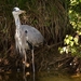 sized_BEEKSE BERGEN SAFARIPARK-2843