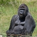 sized_BEEKSE BERGEN SAFARIPARK-2866