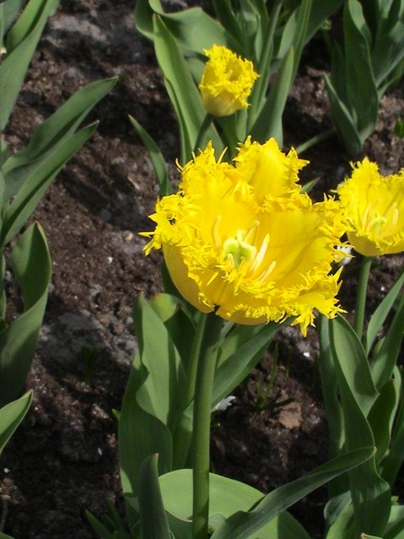 DSC00089