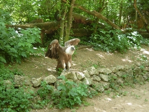 DSCN1873