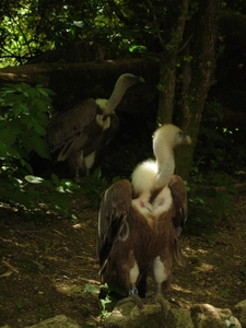 DSCN1874