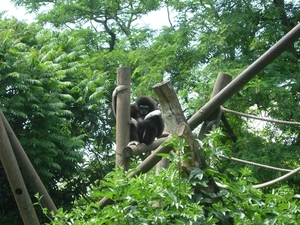 DSCN1879
