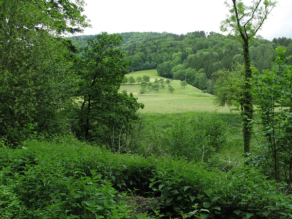 Hochschwarzwald