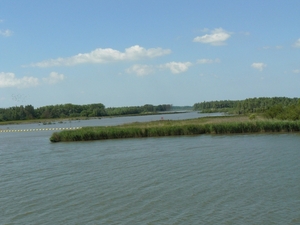ANBO-Biesbos 168