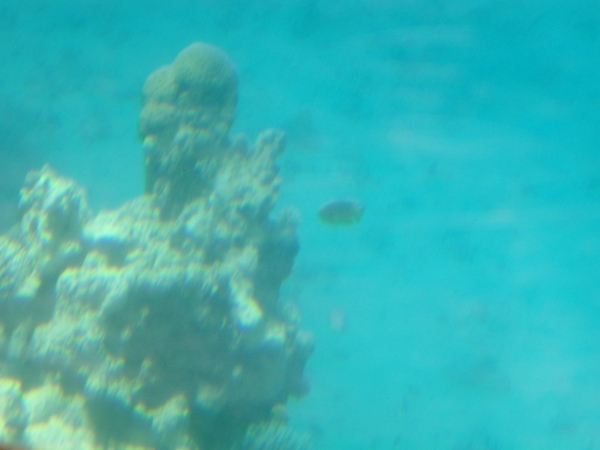 CIMG0051