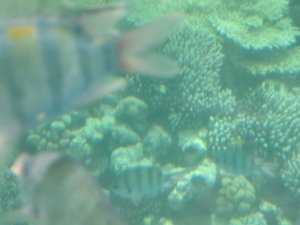 CIMG0057