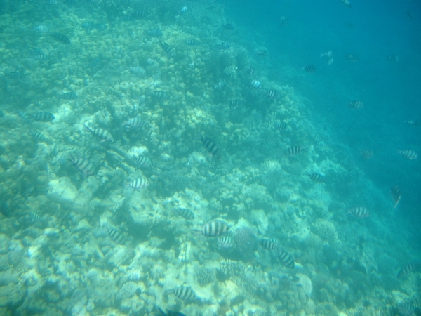CIMG0060