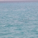 CIMG0087