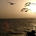 CIMG0098