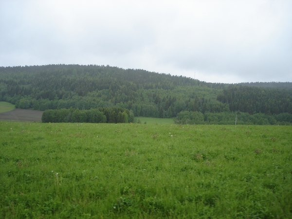 DSC09792