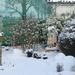 wintertuin2009 001