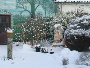wintertuin2009 001