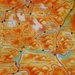 DSC05265