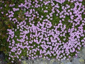 DSC05282