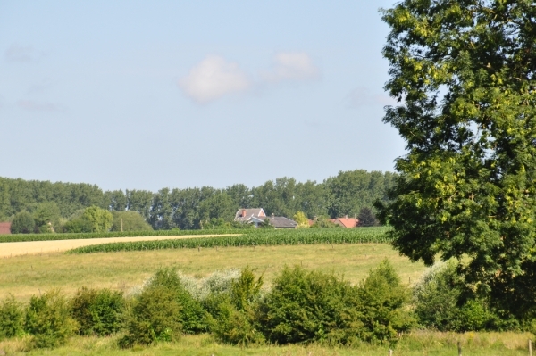 DSC_0029