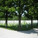 Verdun 025