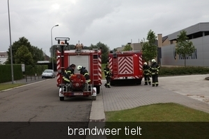 oef vulkoprin brw tielt 015