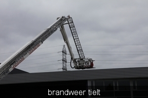 oef vulkoprin brw tielt 032