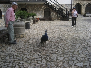 Macedonie en Albanie 2010 100