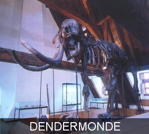 Dendermonde Mammoet