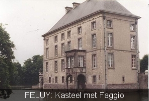 Feluy faggio