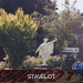 Stavelot