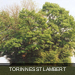 Torinnes st lambert Tumulus