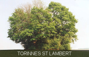 Torinnes st lambert Tumulus