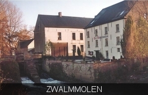 zwalmmolen ter biest