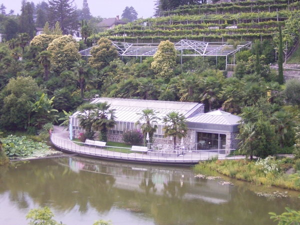 Merano _schloss_Trauttmansdorff _botanische tuin _Orchideeën pav