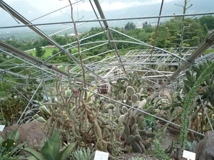 Merano _schloss_Trauttmansdorff _botanische tuin _P1060702