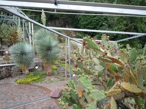 Merano _schloss_Trauttmansdorff _botanische tuin _P1060709