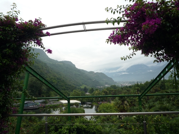 Merano _schloss_Trauttmansdorff _botanische tuin _P1060711