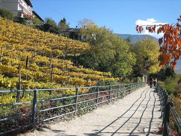 Merano _trappenpromenade