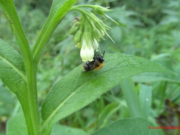 BILD4867