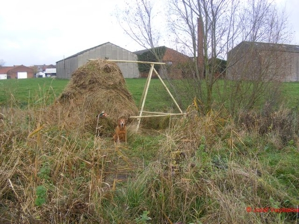 cain0 mét waakhond